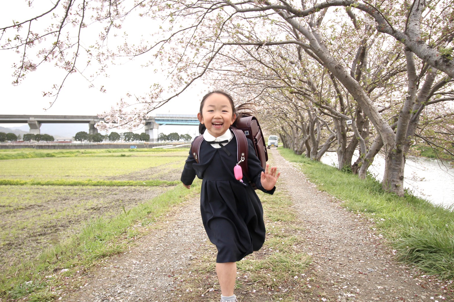 【センチュリー21三愛地建】糸島市の季節ごとの糸島を楽しみ方を紹介いたします。春編